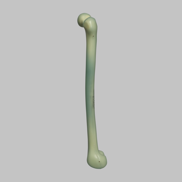 Femur, absolute™ Osteo, 10 PCF Solid Foam with 16 mm Canal, Medium