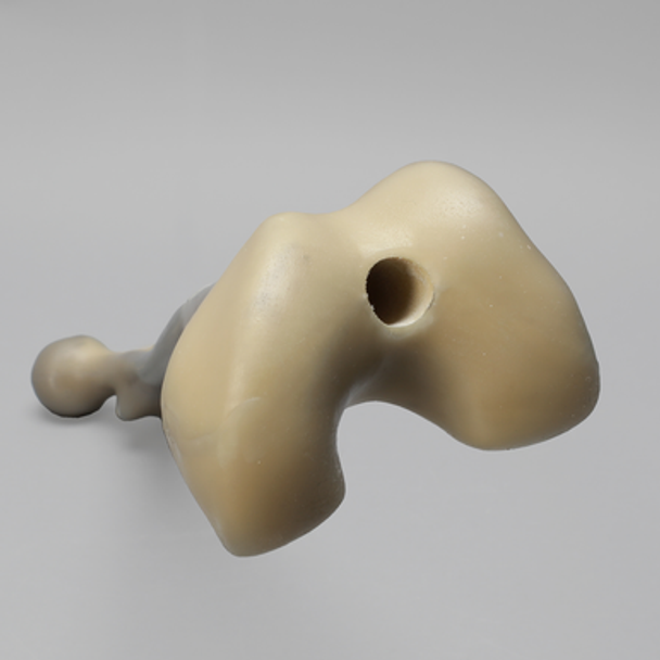 Femur with Average Asian Anatomical Attributes, absolute™ 4th Gen., 17 PCF Solid Foam Core