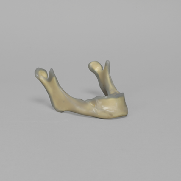 Mandible, absolute™ 4th Gen., 17 PCF, Solid Foam Core, Large