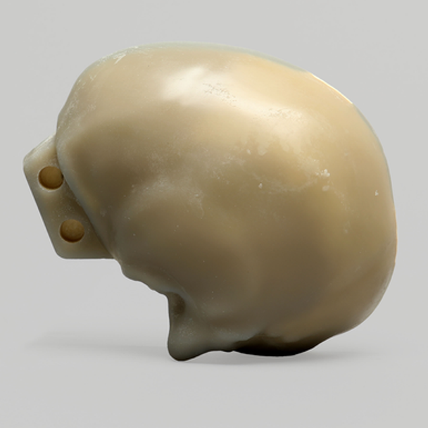 Partial Skull, absolute™ 4th Gen., 20 PCF Solid Foam Core, Left
