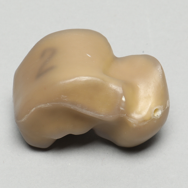 Talus, absolute™ 4th Gen., 17 PCF Solid Foam Core, Large