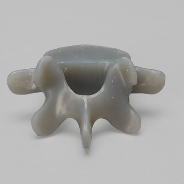 Lumbar L5, absolute™ 4th Gen., Large