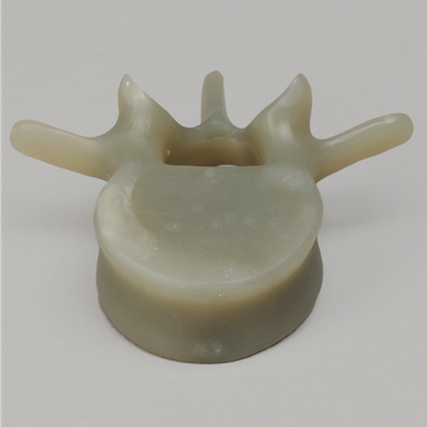 Lumbar L4, absolute™ 4th Gen., Large