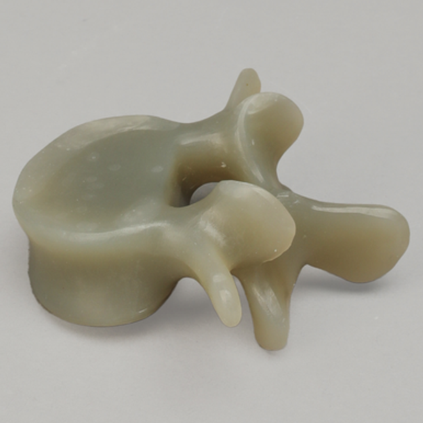 Lumbar L4, absolute™ 4th Gen., Large