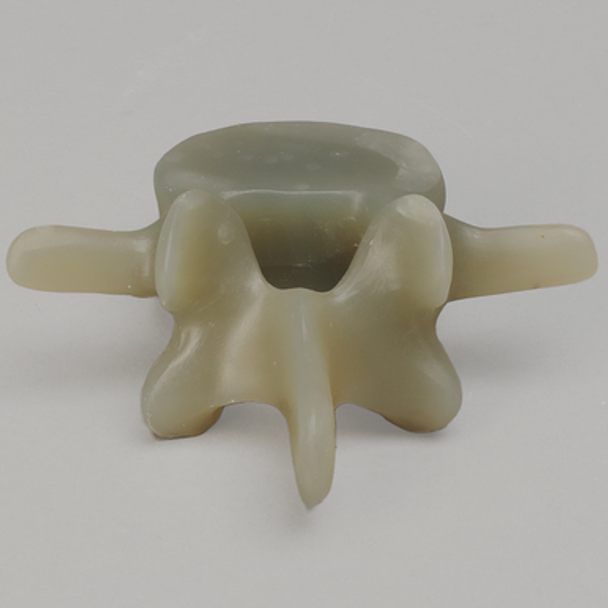 Lumbar L4, absolute™ 4th Gen., Large