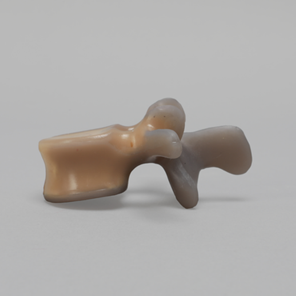 Lumbar L3, absolute™ 4th Gen., 5 PCF Solid Foam Core, Large