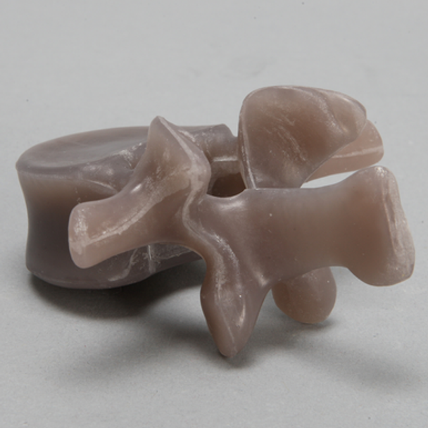 Lumbar L1, absolute™ 4th Gen., Large