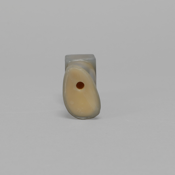 First Metatarsal, absolute™ 4th Gen., 17 PCF Solid Foam Core, Distal Vise