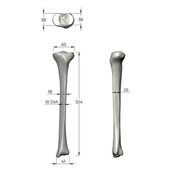 Tibia, absolute™ 4th Gen., 17 PCF Solid Foam Core, Small