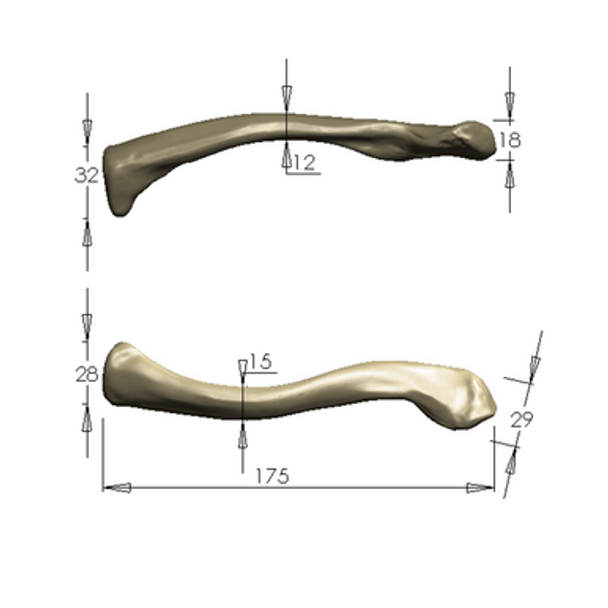 Clavicle, absolute™ 4th Gen., 17 PCF Solid Foam Core, Large