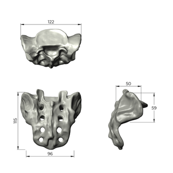 Sacrum, absolute™ 4th Gen., 17 PCF Solid Foam Core, Large