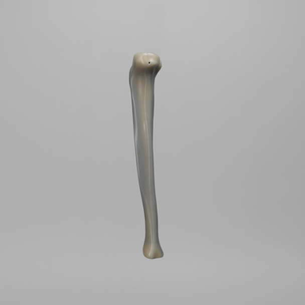 Tibia, absolute™ 4th Gen., 17 PCF Solid Foam Core, Medium