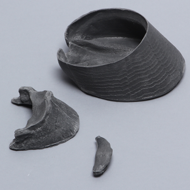 Equine Phalanx, Distal, 3 Piece Set