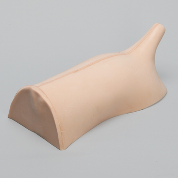 Canine Backline with Lumbar Spine