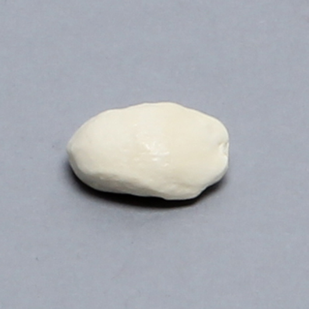 Canine Patella, Solid Foam, Left