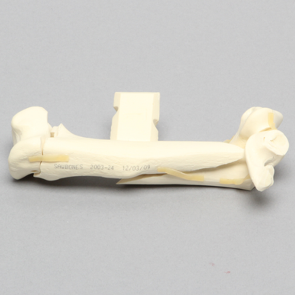 Canine Humerus with Multiple Fractures, Foam Cortical