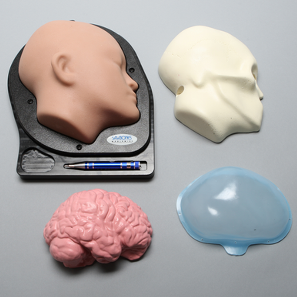 Standard Cranial Access Model