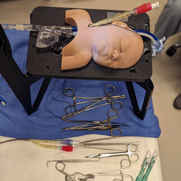 RediStik Neonatal ECMO Cannulation Trainer