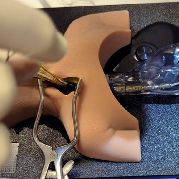 RediStik Neonatal ECMO Cannulation Trainer