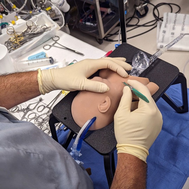 RediStik Neonatal ECMO Cannulation Trainer