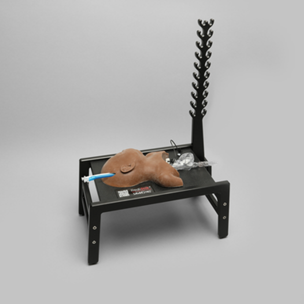 RediStik Neonatal ECMO Cannulation Trainer