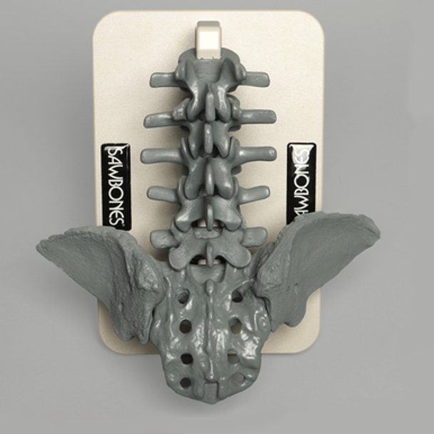 Lumbar Spinal Navigation Set