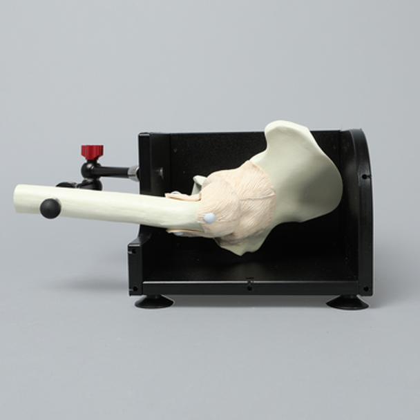 Express Arthroscopy Hip