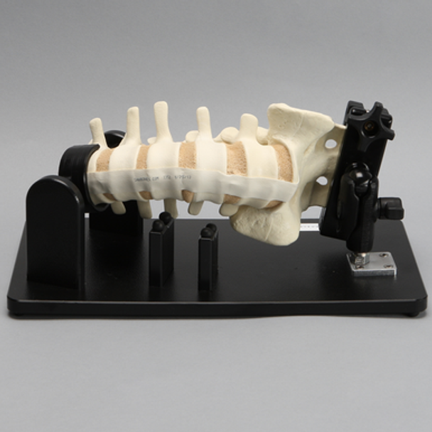 Lateral Lumbar Holder with Spine