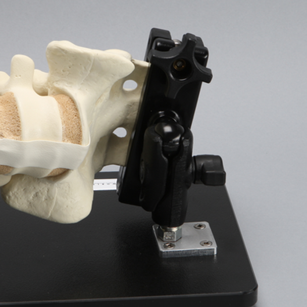 Lateral Lumbar Holder with Spine