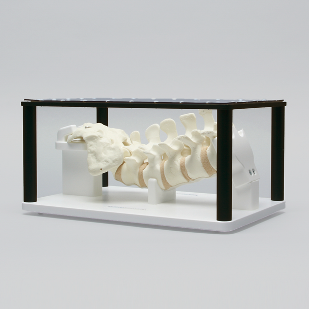 Posterior Lumbar Holder