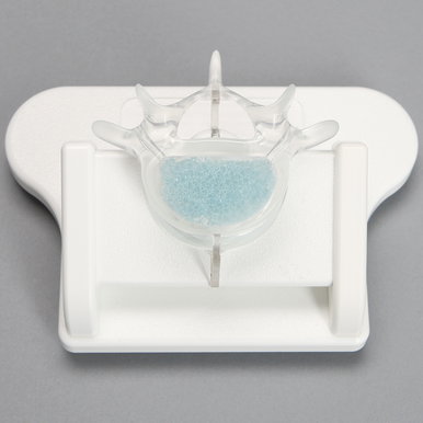 Stand for Clear Lumbar Vertebrae, White