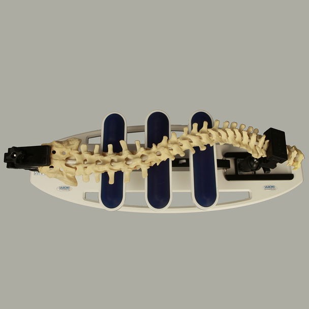 Spinal Reduction / Alignment Holder Spinal Reduction / Alignment Holder