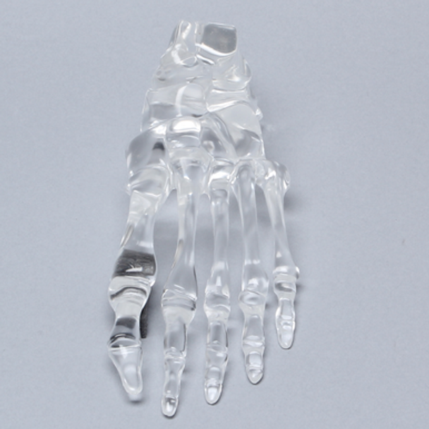 Foot, Solid Clear Plastic