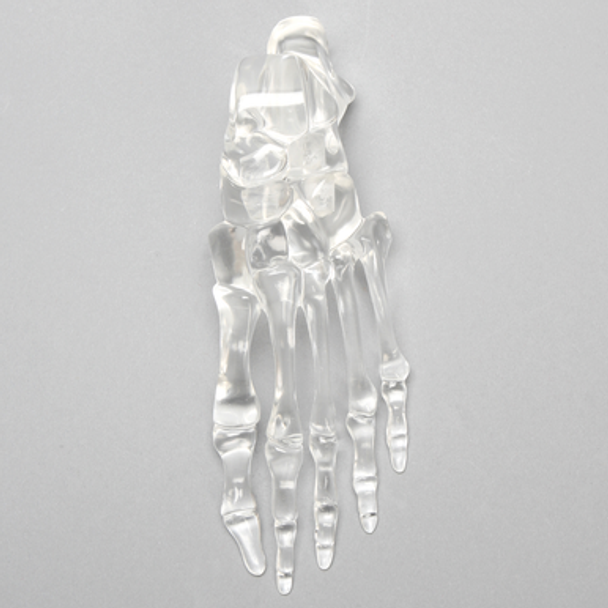 Foot, Solid Clear Plastic, Left