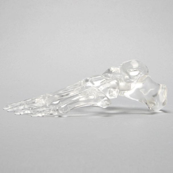 Foot, Solid Clear Plastic, Left