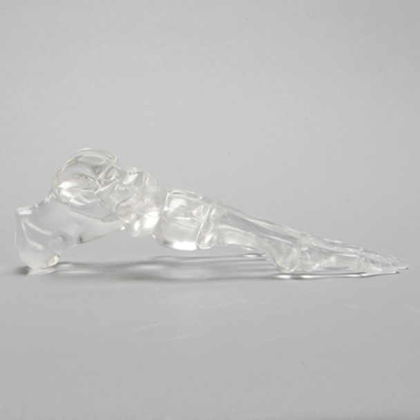 Foot, Solid Clear Plastic, Left