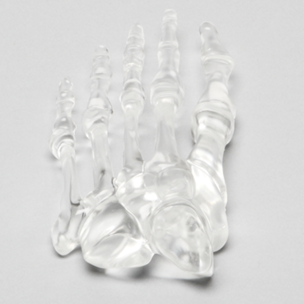 Forefoot, Solid Clear Plastic