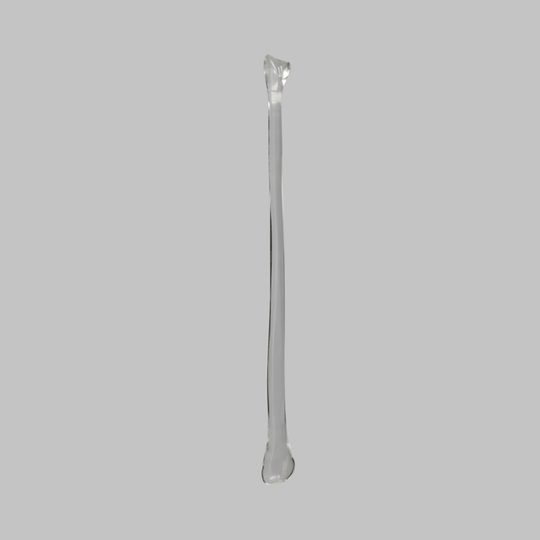 Fibula, Solid Clear Plastic