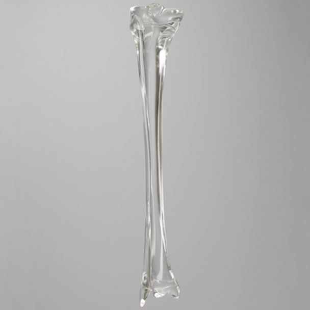 Tibia and Fibula without Canal, Solid Clear Plastic, Pediatric