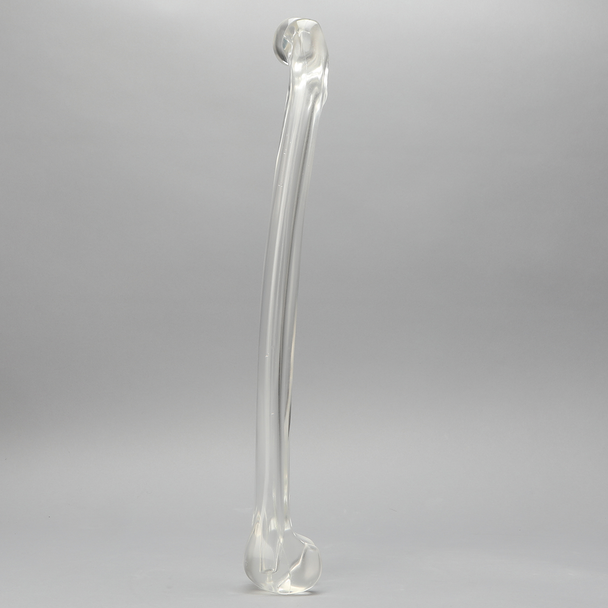 Femur with 15.6 mm Canal, Solid Clear Plastic