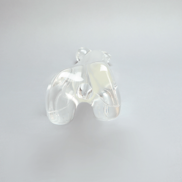 Femur with 15.6 mm Canal, Solid Clear Plastic
