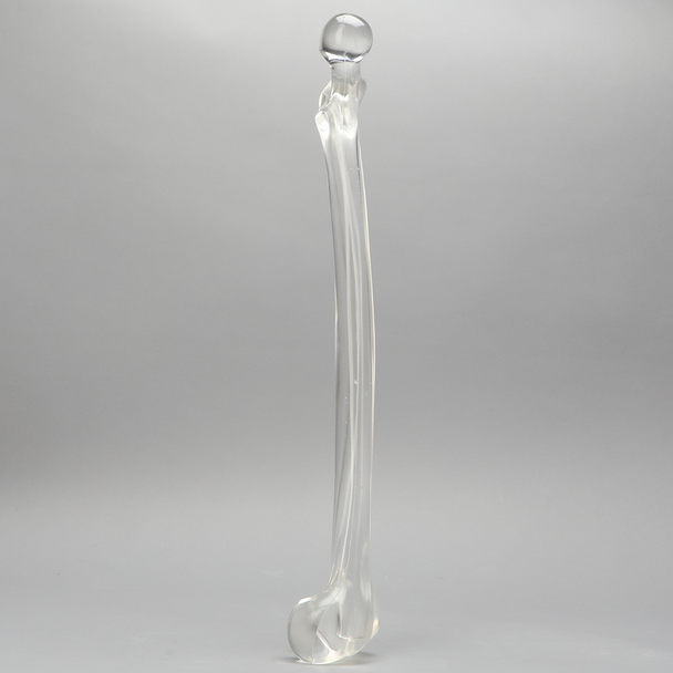 Femur with 15.6 mm Canal, Solid Clear Plastic