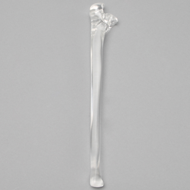 Ulna without Canal, Solid Clear Plastic