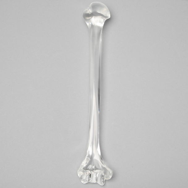 Humerus without Canal, Solid Clear Plastic