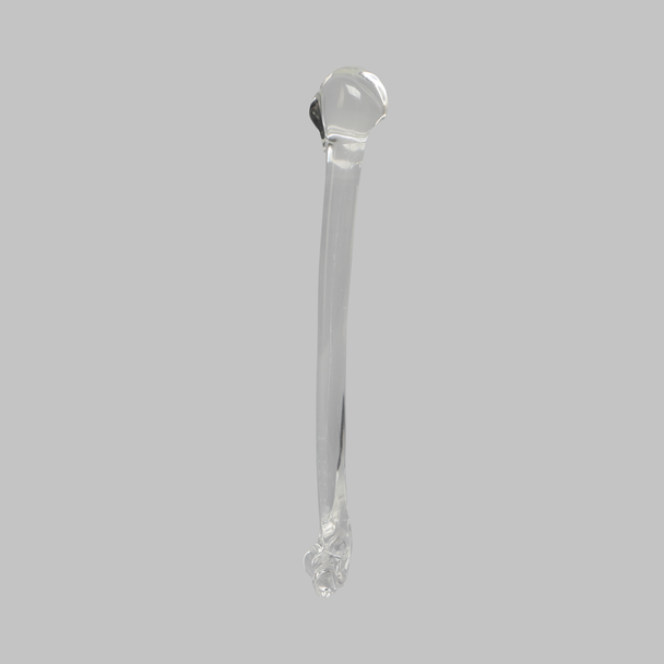 Humerus without Canal, Solid Clear Plastic