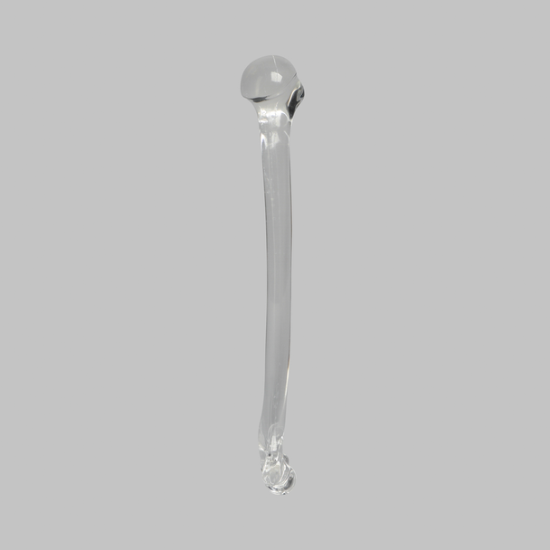 Humerus without Canal, Solid Clear Plastic