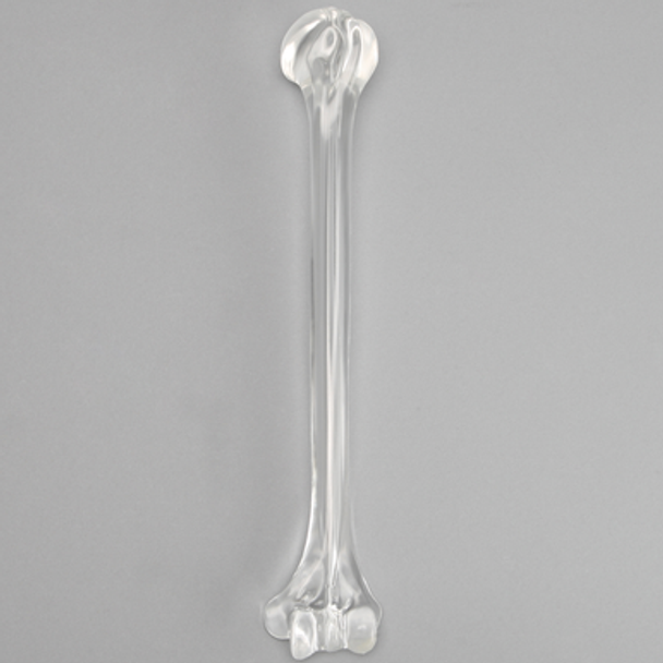 Humerus with 9.5 mm Canal, Solid Clear Plastic