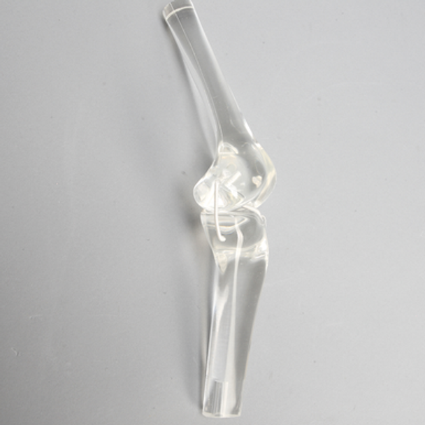 Knee Joint without Patella, Solid Clear Plastic