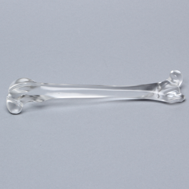 Canine Femur, Solid Clear Plastic