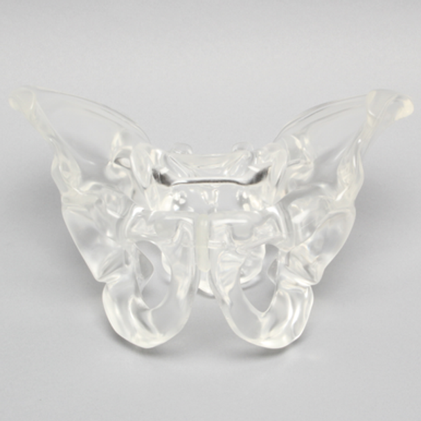 Pelvis, Full Male, Solid Clear Plastic